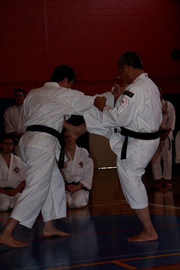 Shorinji Kempo 1 semester half membership