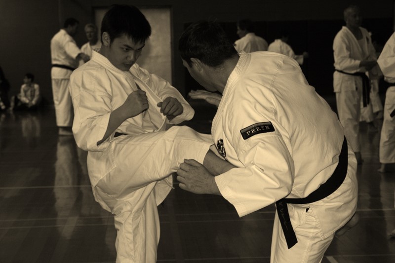 Shorinji Kempo full-year half membership